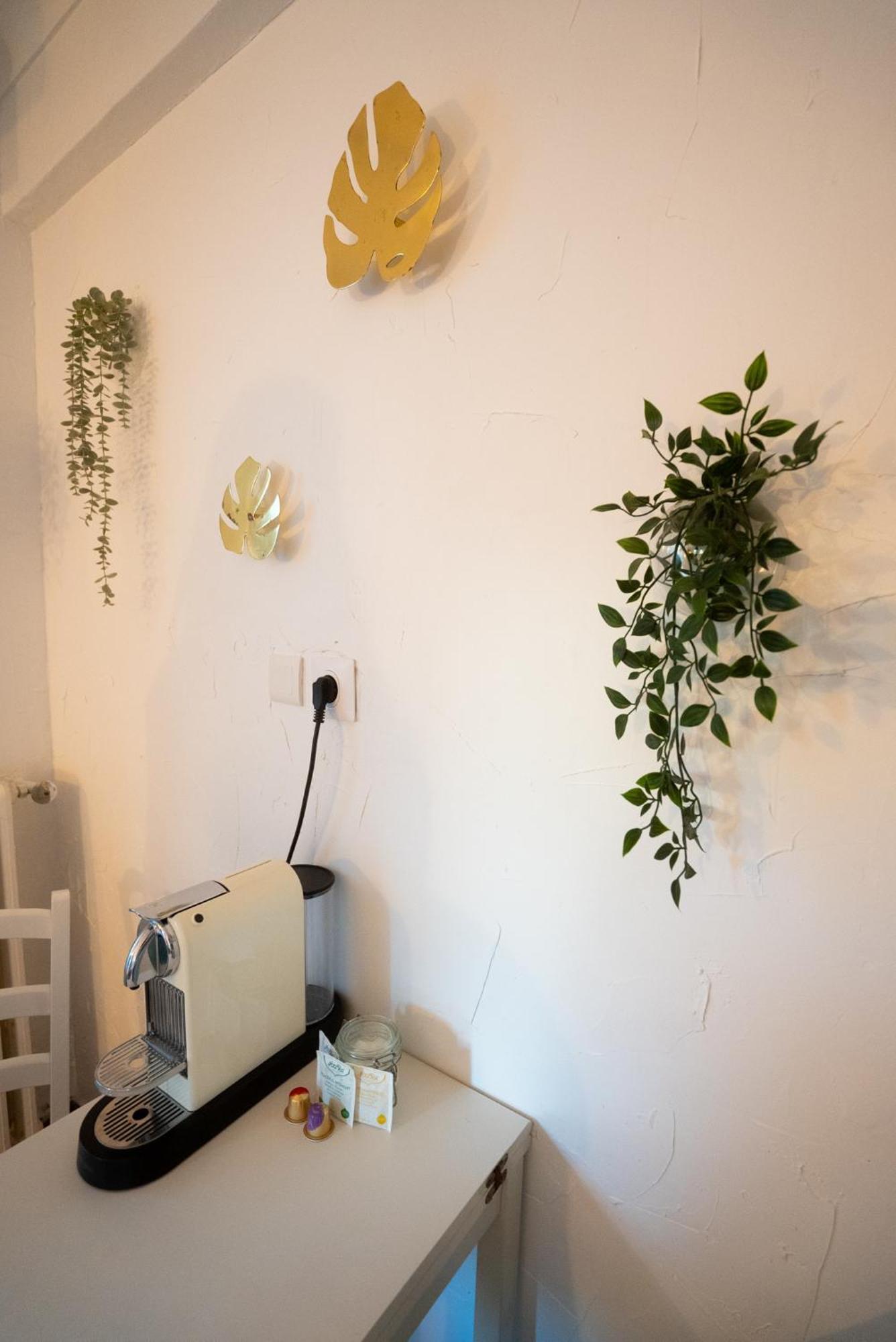 Location Studio Avec Loggia Daire Antibes Dış mekan fotoğraf